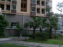 深圳富麗達花園綠化殺蟲滅鼠