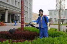 工廠消毒除四害服務