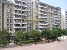 深圳市龍崗區理想新城公共區域檢測白蟻